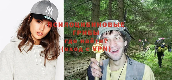 прущие крисы Козельск