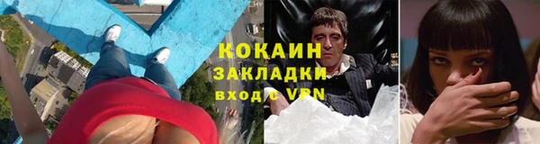 твердый Козловка