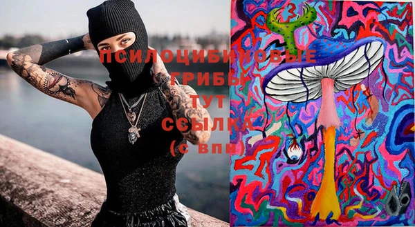 прущие крисы Козельск